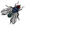 wpc148c1d5.gif